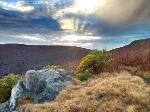 "Black Balsam Area Milepost 420" by Christina M. Moore