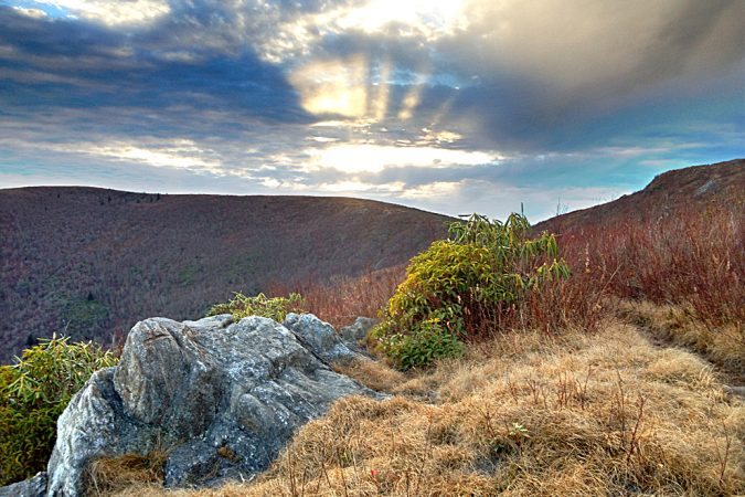 "Black Balsam Area Milepost 420" by Christina M. Moore
