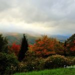 "Early Fall at Mt. Mitchell" by Edwards Art & Photography