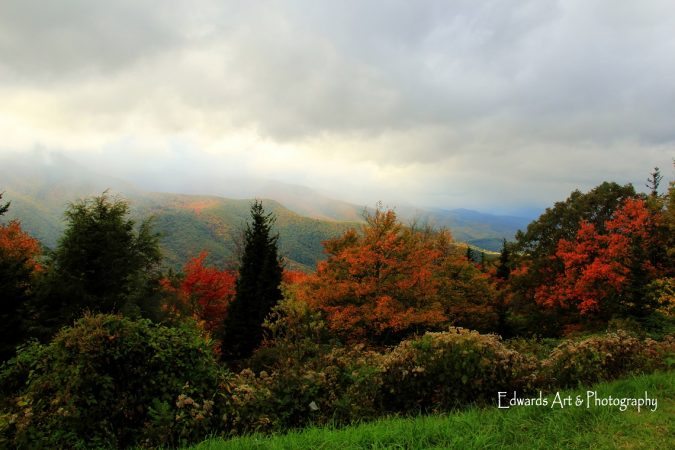 "Early Fall at Mt. Mitchell" by Edwards Art & Photography