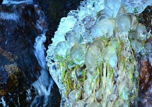 "Cascade Falls Ice Formation" by Trish Renee Photography
