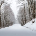 "Snow at Balsam Gap" by Luis Diaz