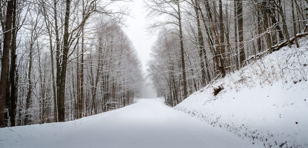 "Snow at Balsam Gap" by Luis Diaz