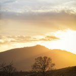 "Sunset at Moses H. Cone Memorial Park" by Victor Ellison Fine Art Photography