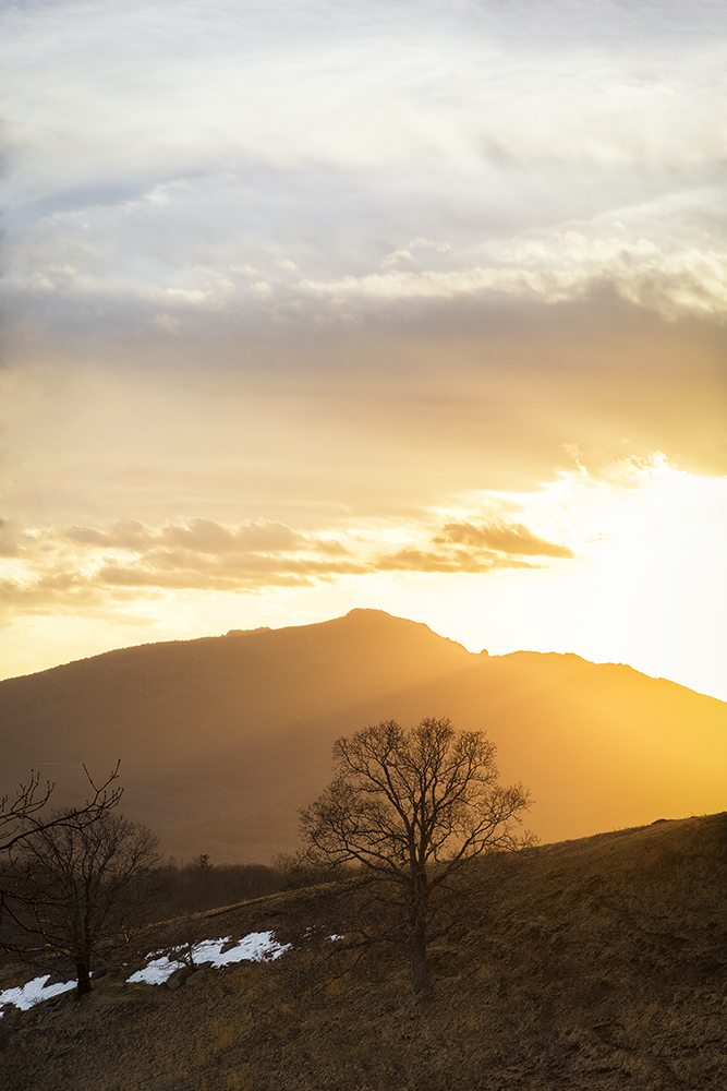"Sunset at Moses H. Cone Memorial Park" by Victor Ellison Fine Art Photography