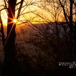 "Morning Lace" by Deborah Scannell Photography