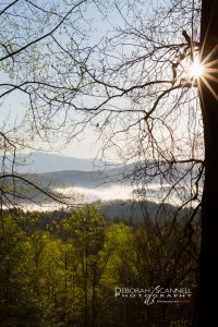 "Easter Morning Sunrise" by Deborah Scannell Photography