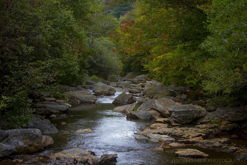 "First Red in Fall" by Jennifer Mesk Photography