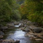 "First Red in Fall" by Jennifer Mesk Photography