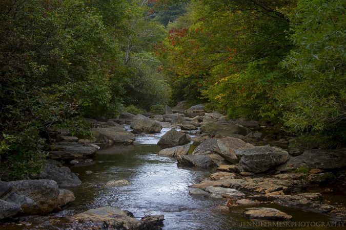 "First Red in Fall" by Jennifer Mesk Photography