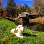 "Mabry Mill with my Furbaby" by Debbie Lenz