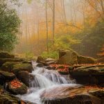 "Boone Fork Creek" by AP Gouge Photography