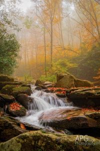 "Boone Fork Creek" by AP Gouge Photography