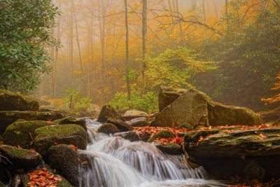 "Boone Fork Creek" by AP Gouge Photography