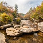 "Graveyard Fields, Milepost 418" by Solitary Traveler Photography