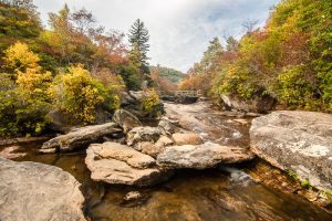 "Graveyard Fields, Milepost 418" by Solitary Traveler Photography