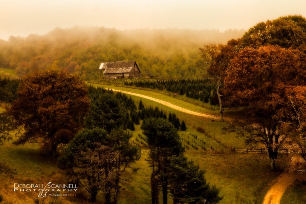 "Virginia Farm at Milepost 27" by Deborah Scannell Photography