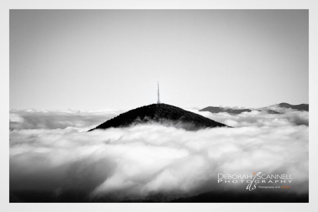 "Black Balsam near Graveyard Fields" by Deborah Scannell Photography
