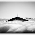 "Black Balsam near Graveyard Fields" by Deborah Scannell Photography