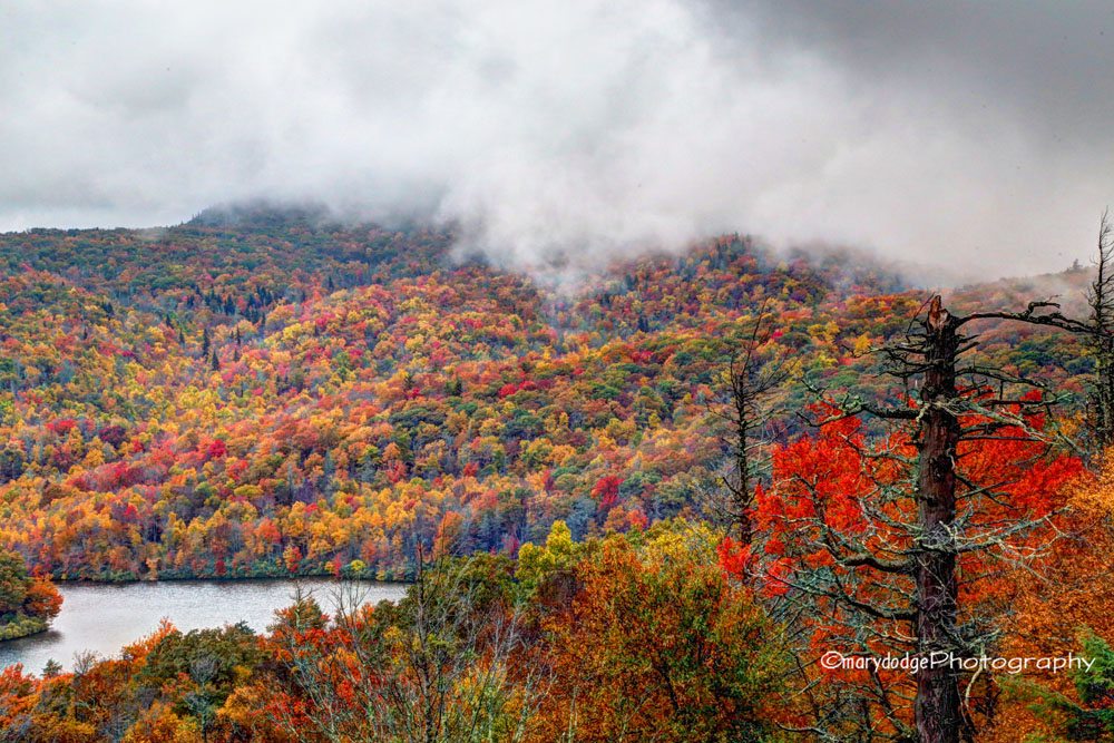 "Grandfather in Fall Color" by Mary Dodge Photography