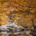 "Boone Fork Creek near Price Lake" by Victor Ellison Fine Art Photography