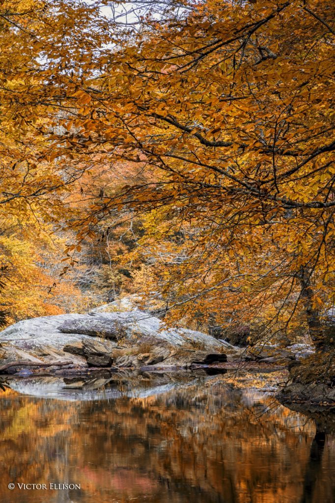 "Boone Fork Creek near Price Lake" by Victor Ellison Fine Art Photography