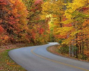 "Parkway Color near Asheville" by Jeff Burcher Photography
