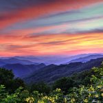 "Black-Eyed Susans at Thunderstruck Ridge Overlook" by Carol R Montoya