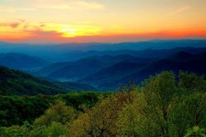 "Glassmine Falls Overlook, Milepost 361" by Carol R Montoya