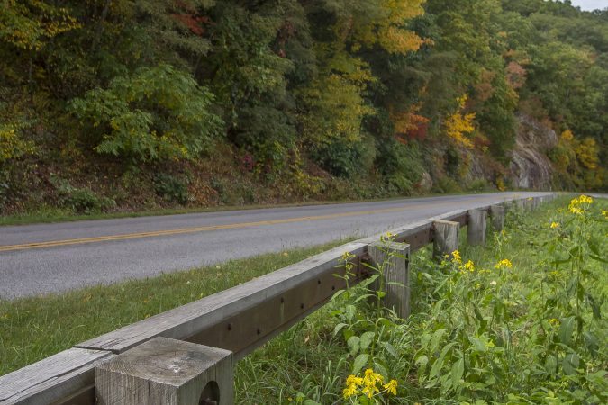 "Early Fall near Tanbark Ridge Overlook, Milepost 376.7" by Jennifer Mesk Photography