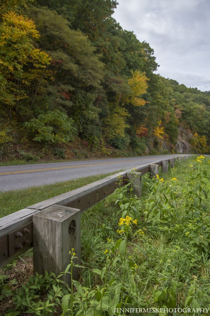 "Early Fall near Tanbark Ridge Overlook, Milepost 376.7" by Jennifer Mesk Photography