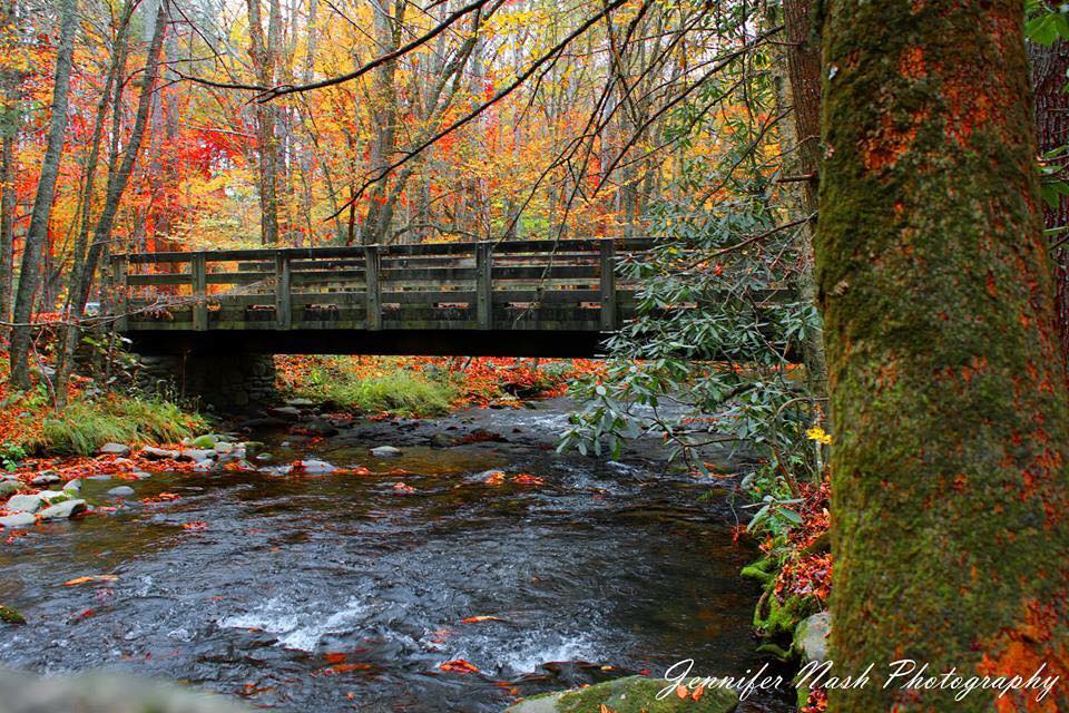 "Bridge in the Cataloochee Valley" by Jennifer Lambert Nash