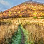 "Fall at Sam Knob, Milepost 420" by Daniel Plotts