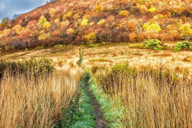 "Fall at Sam Knob, Milepost 420" by Daniel Plotts