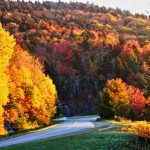 "The Parkway at Grandfather Mountain" by Bill McKay