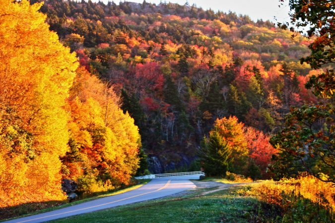"The Parkway at Grandfather Mountain" by Bill McKay