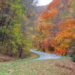 "Fall at Maggie Valley, Milepost 455" by Jennifer Lambert Nash