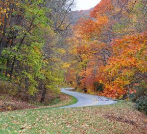 "Fall at Maggie Valley, Milepost 455" by Jennifer Lambert Nash