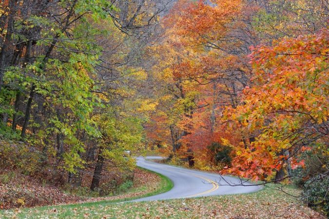 "Fall at Maggie Valley, Milepost 455" by Jennifer Lambert Nash
