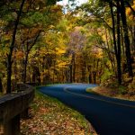 "Fall Drive on the Parkway near Milepost 395" by David Fisher/Mexipickle