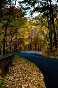 "Fall Drive on the Parkway near Milepost 395" by David Fisher/Mexipickle
