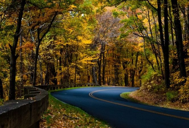"Fall Drive on the Parkway near Milepost 395" by David Fisher/Mexipickle