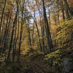 "Autumn Railway at Yankee Horse Ridge, Milepost 34" by Brent McGuirt Photography