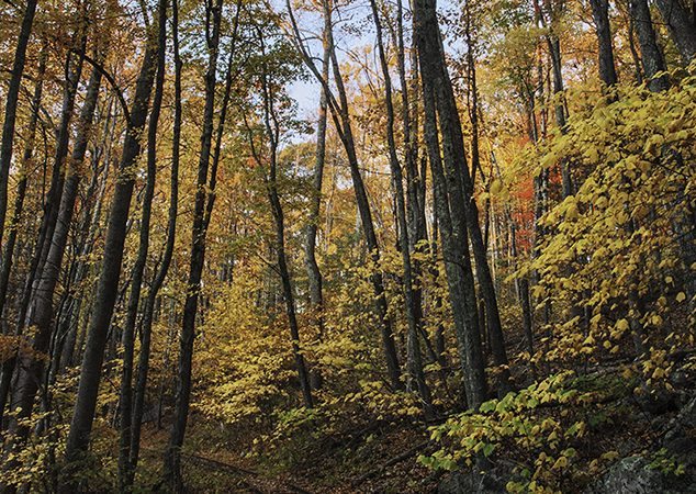 "Autumn Railway at Yankee Horse Ridge, Milepost 34" by Brent McGuirt Photography