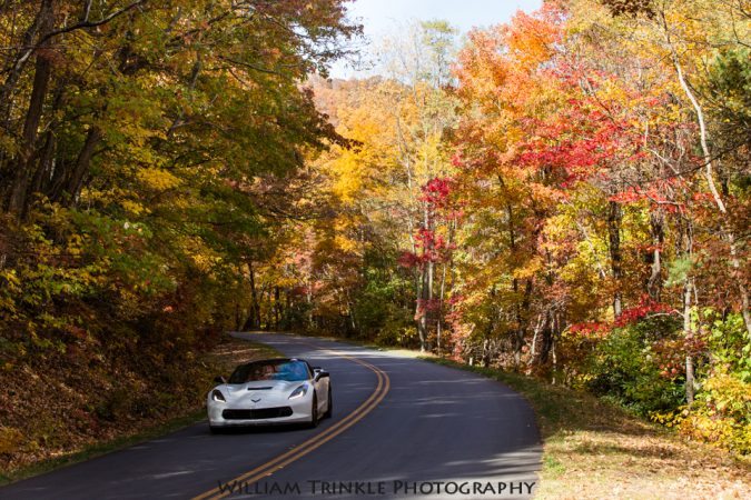 "Parkway North of View Lane Pinnacle Overlook" by William Trinkle Photography