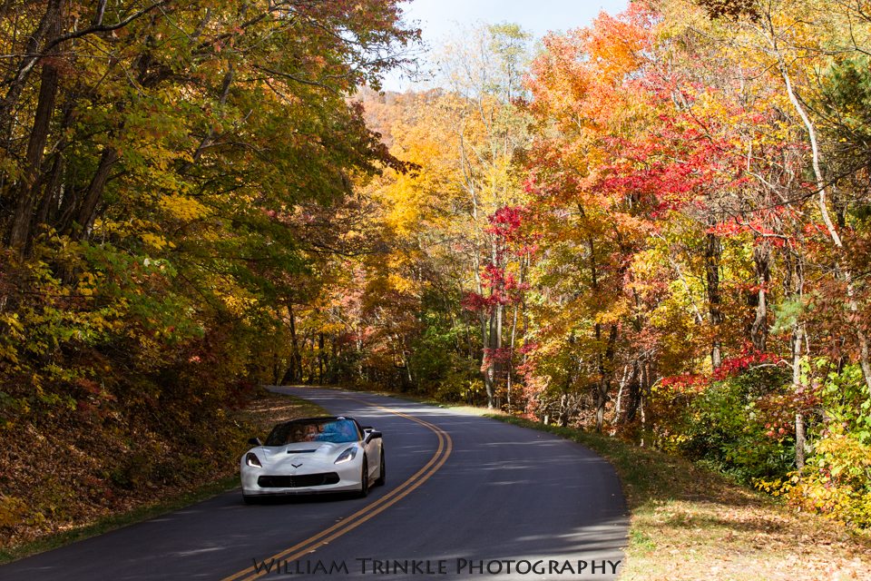 "Parkway North of View Lane Pinnacle Overlook" by William Trinkle Photography