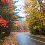"Fall Colors at Parkway Milepost 381" by William Trinkle Photography