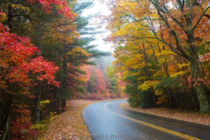 "Fall Colors at Parkway Milepost 381" by William Trinkle Photography