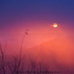 "Mt. Mitchell Sunrise, Milepost 355.4" by William Trinkle Photography