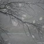 "Spookiness at the Pond, Milepost 225" by Angie Beavers